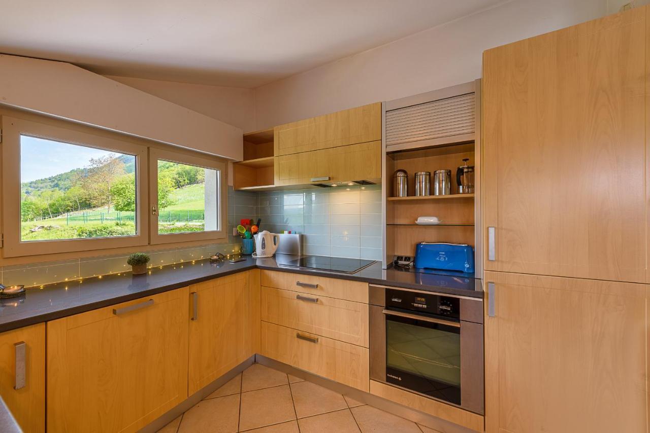 L'Hermitage, 3 Appartements Avec Terrasse, Vue Lac, Parking Et Piscine, Lla Selections By Location Lac Annecy Таллуар Екстер'єр фото